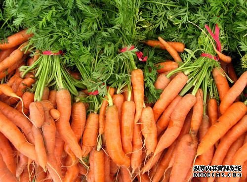 盘点七类清肠食物 扫光身体内积攒垃圾