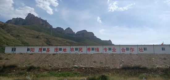 柴鸡养殖场